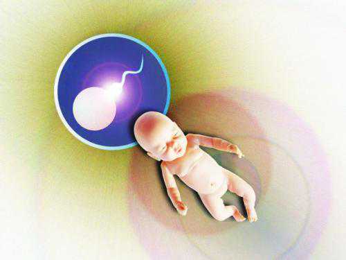 [胚胎]试管婴儿打促排卵针多少钱