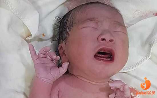 【郑州有做供卵试管婴儿的医院吗】经历两次胎停卵泡萎缩，现在已生健康宝宝