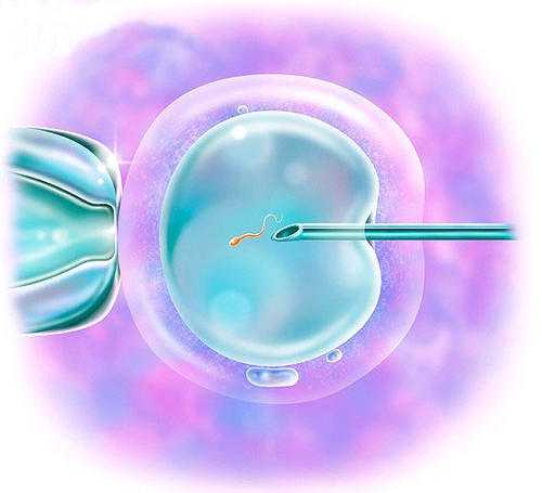 胚胎_卵子质量低做三代试管的成功率不高？