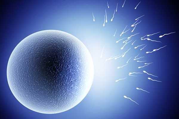 5ba囊胚并不一定出生的是男孩囊胚质量才是核心。