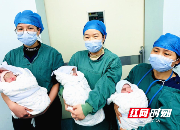<b>50供卵成功率_母女平安！高龄试管三胞胎孕妈在永州市中心医院顺利分娩</b>